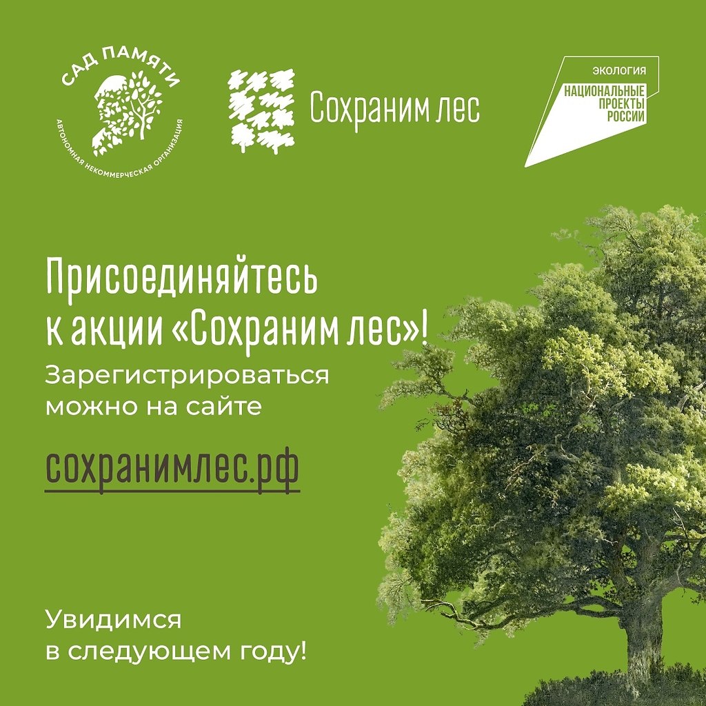 Всероссийская акция «Сохраним лес».